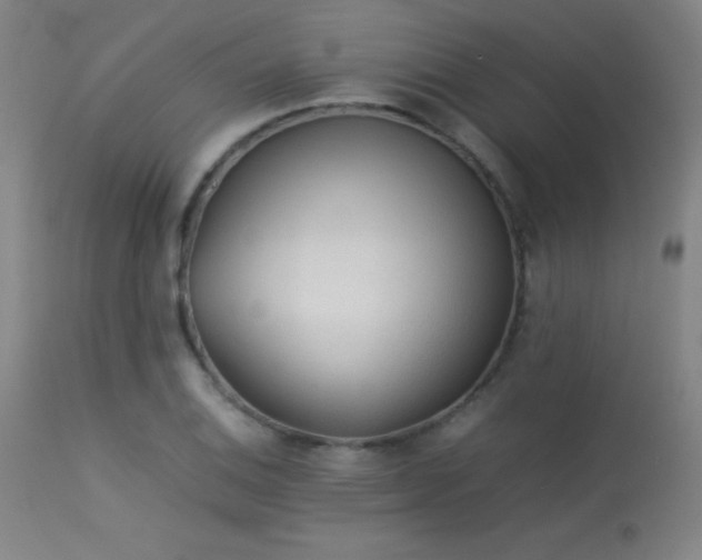 X0000113241124200909171556