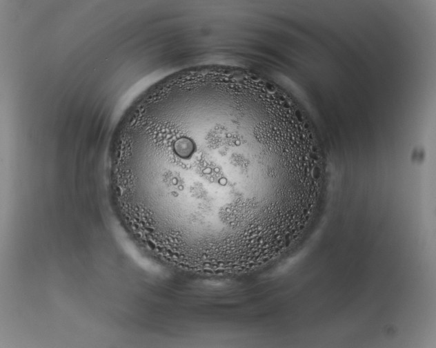 X0000113241125200909171556