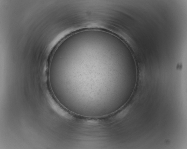 X0000113241126200909171556