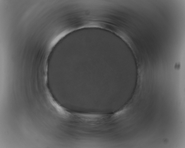 X0000113241127200909171556