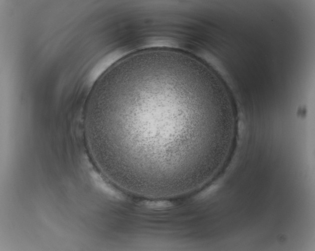 X0000113241129200909171556