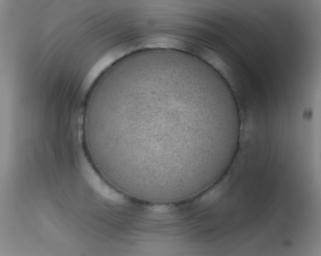 X0000113241130200909171556