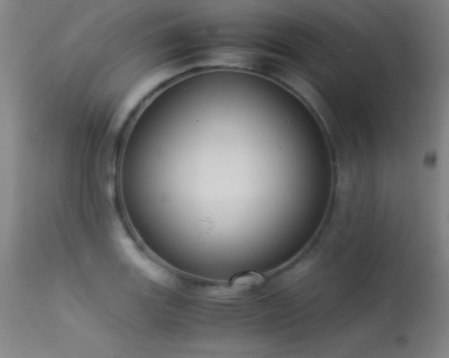 X0000113241131200909171556