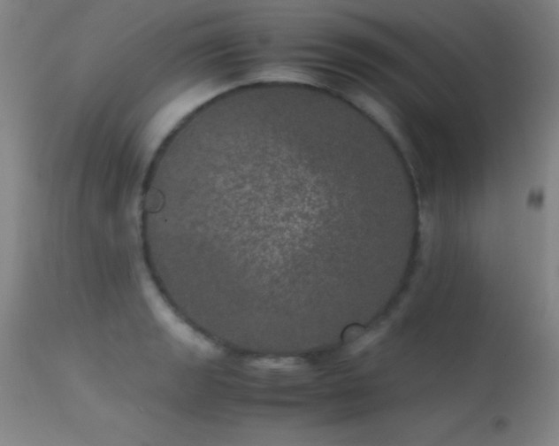 X0000113241133200909171556