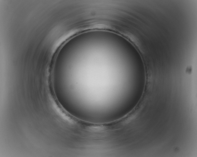 X0000113241134200909171556