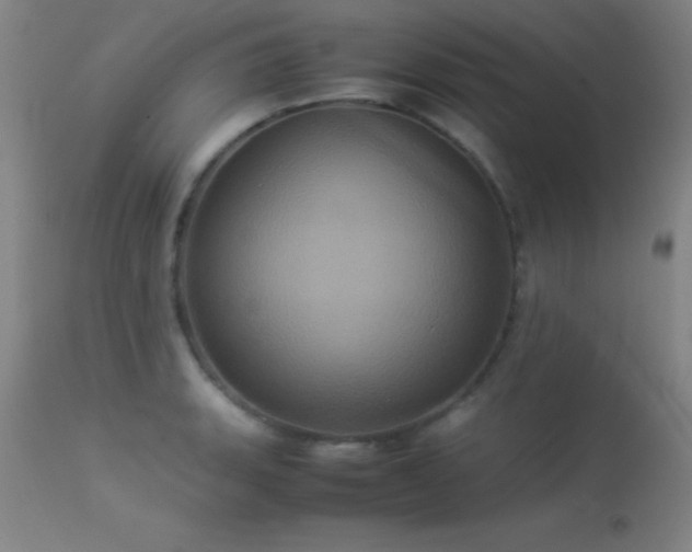 X0000113241135200909171556