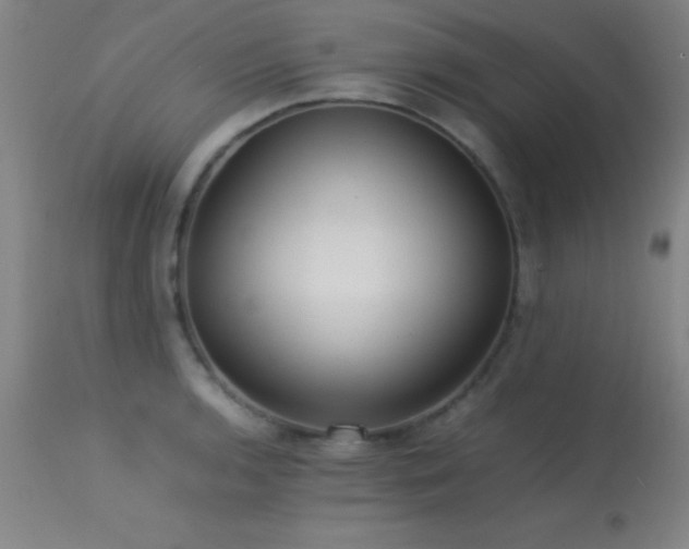 X0000113241136200909171556