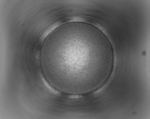 X0000113241137200909171556