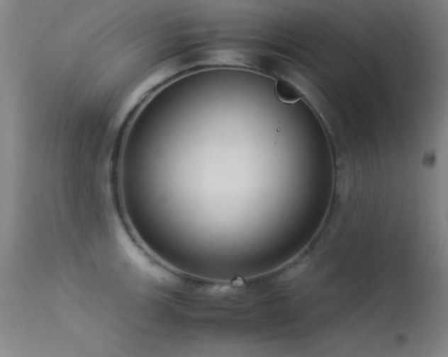 X0000113241139200909171556