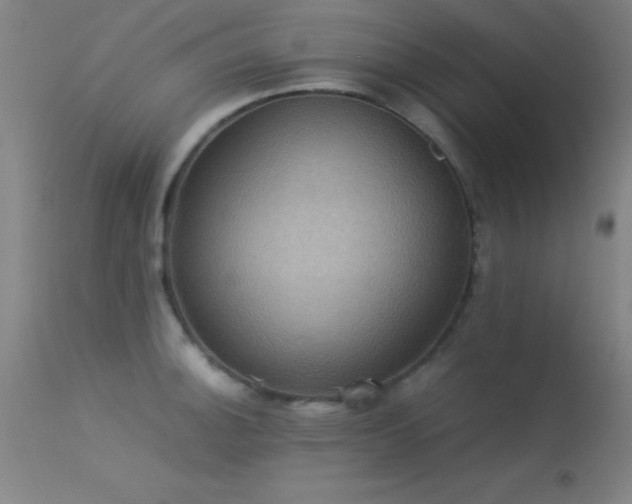 X0000113241140200909171556