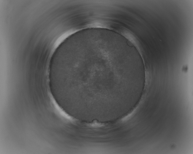 X0000113241141200909171556