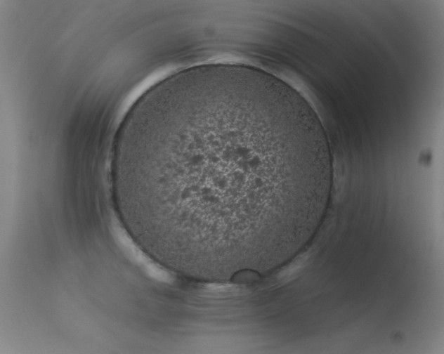 X0000113241142200909171556