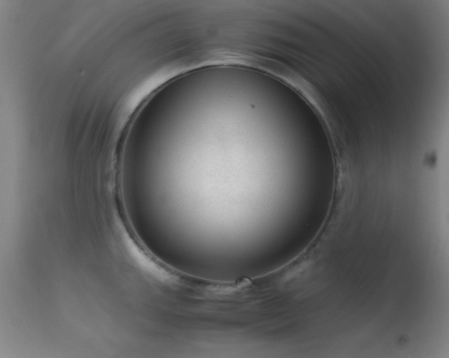 X0000113241143200909171556