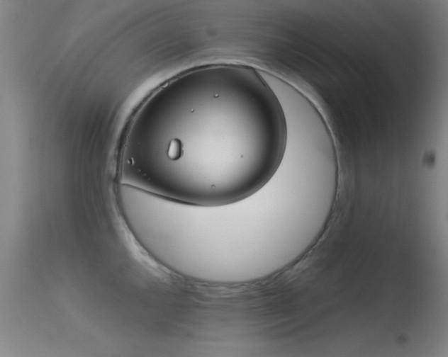 X0000113241144200909171556