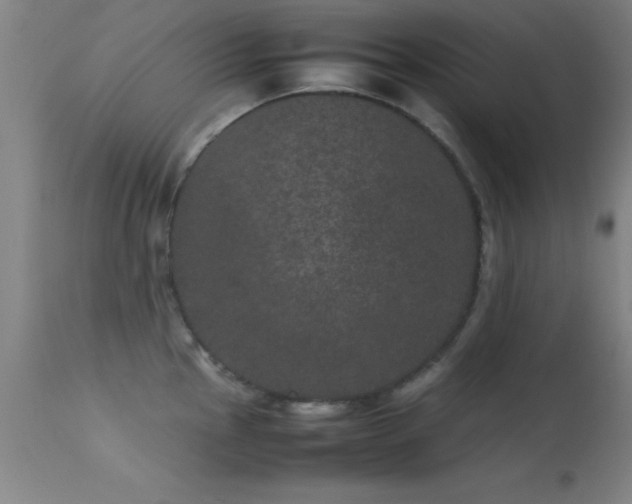 X0000113241145200909171556