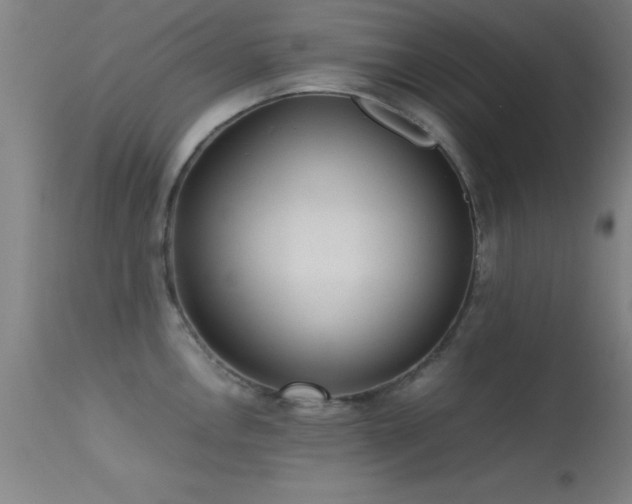 X0000113241146200909171556