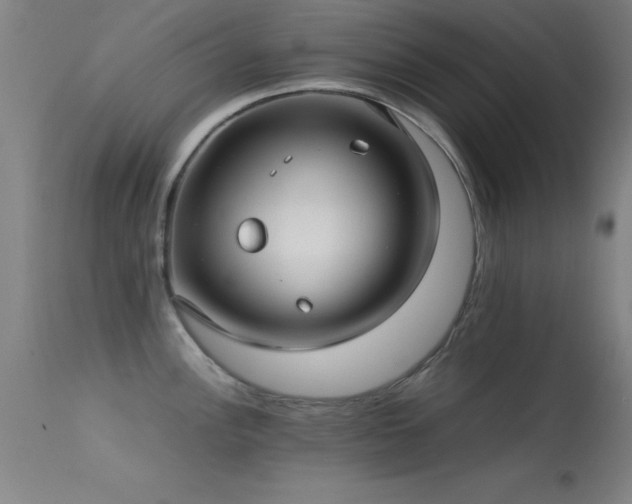 X0000113241148200909171556