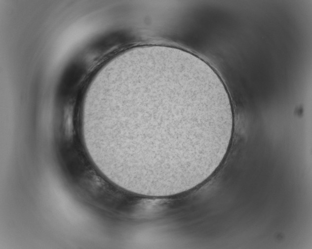 X0000113241150200909171556