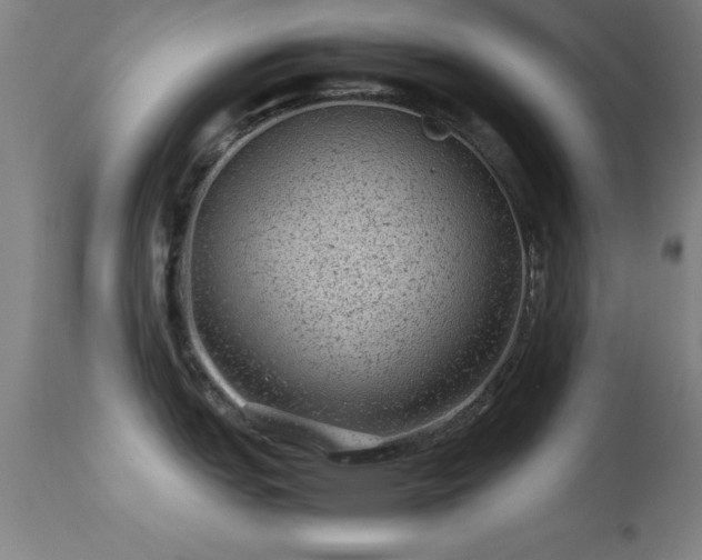 X0000113241151200909171556