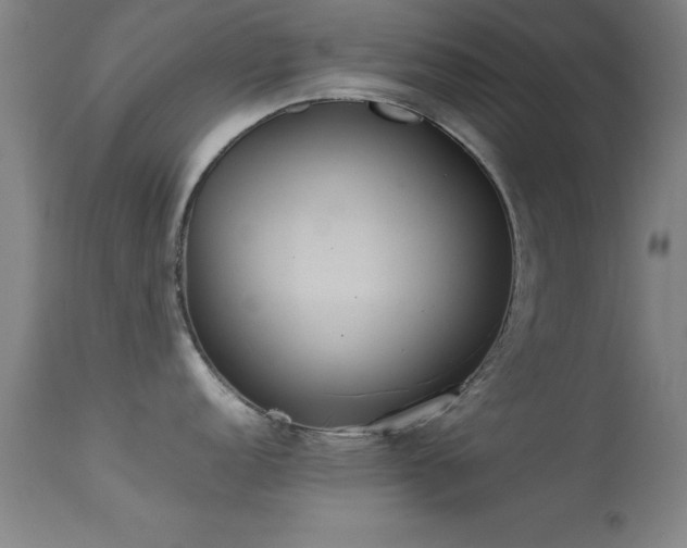 X0000113241152200909171556