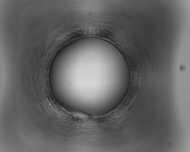 X0000113241153200909171556