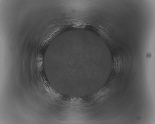 X0000113241154200909171556