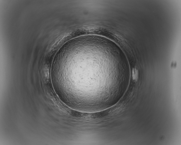 X0000113241155200909171556