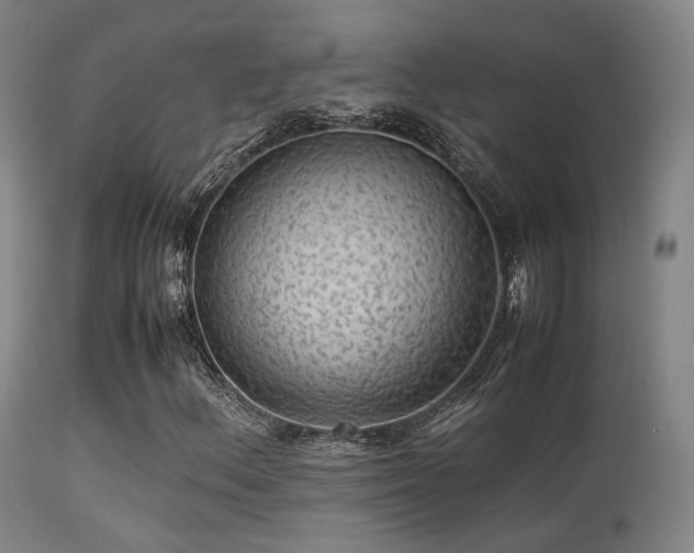 X0000113241156200909171556