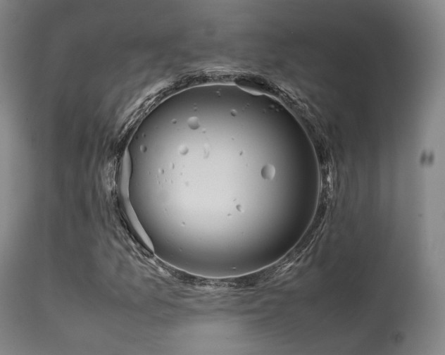 X0000113241157200909171556