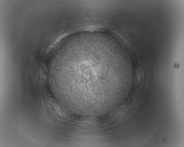 X0000113241158200909171556