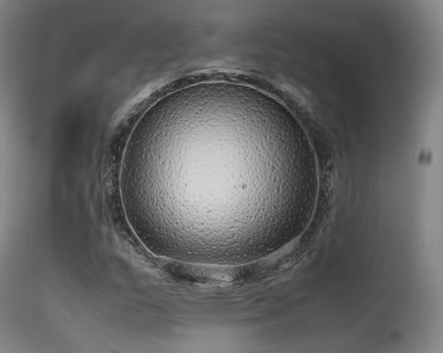 X0000113241159200909171556