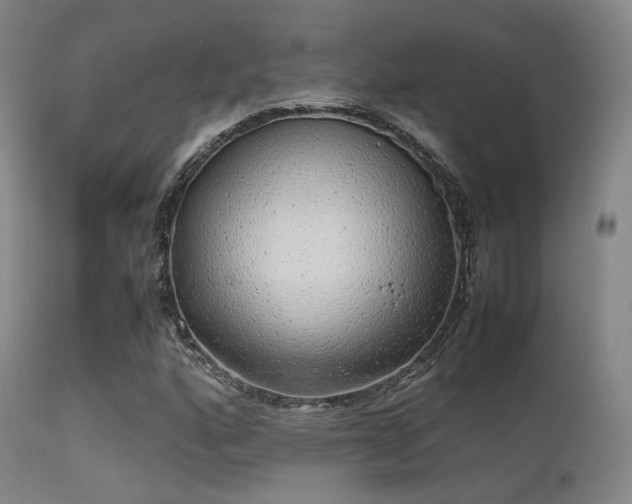 X0000113241160200909171556