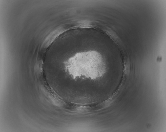 X0000113241161200909171556