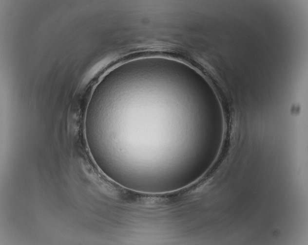 X0000113241163200909171556