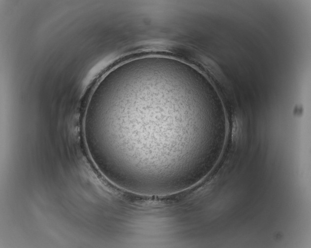 X0000113241164200909171556