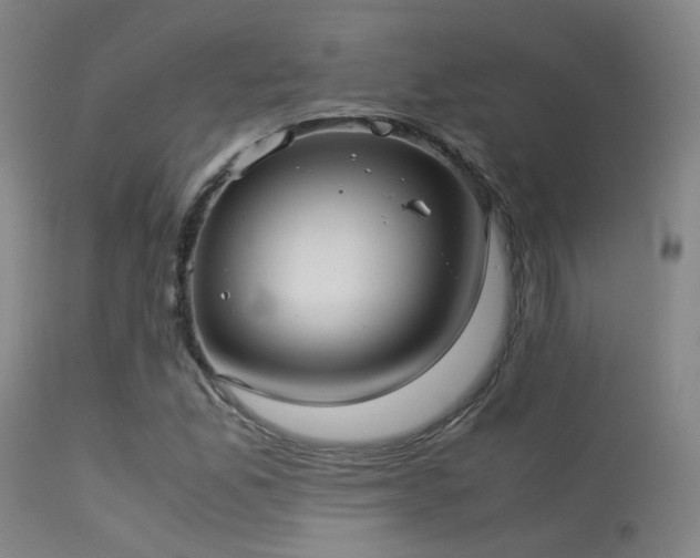 X0000113241165200909171555