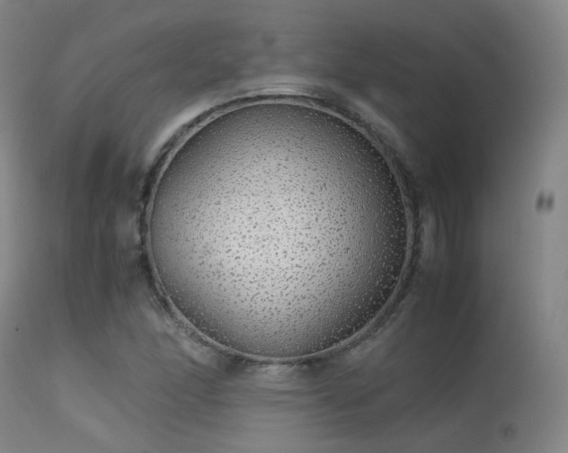 X0000113241166200909171555