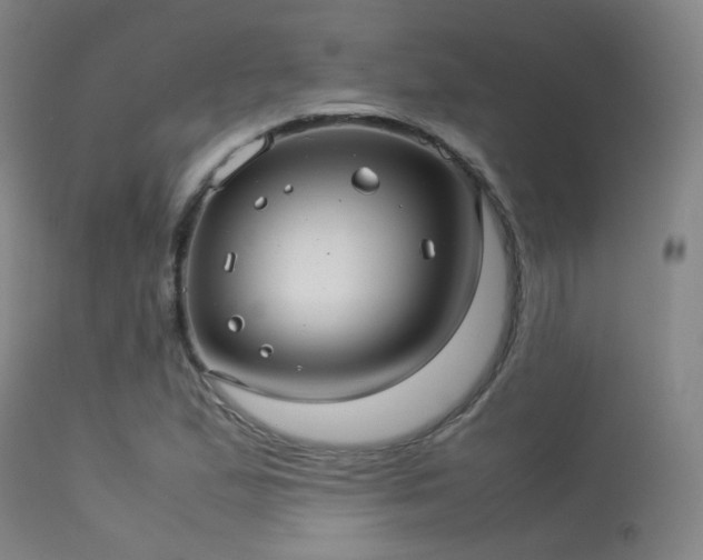 X0000113241167200909171555