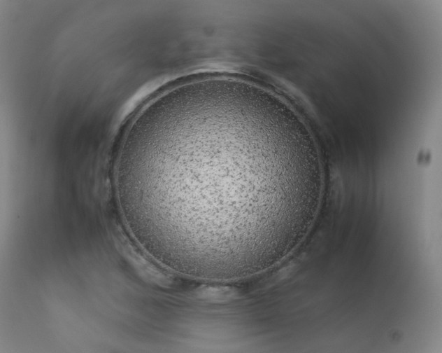 X0000113241168200909171555