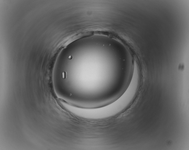 X0000113241169200909171555