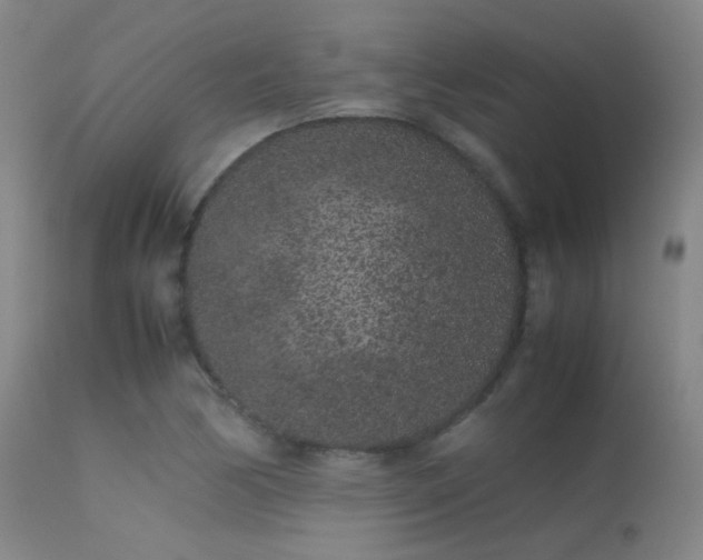 X0000113241170200909171555