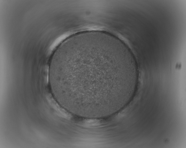 X0000113241171200909171555