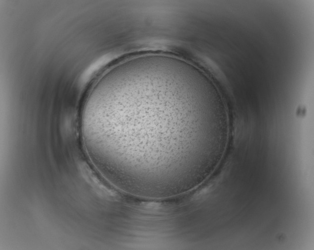 X0000113241172200909171555