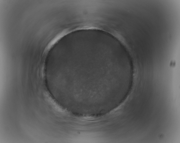 X0000113241173200909171555