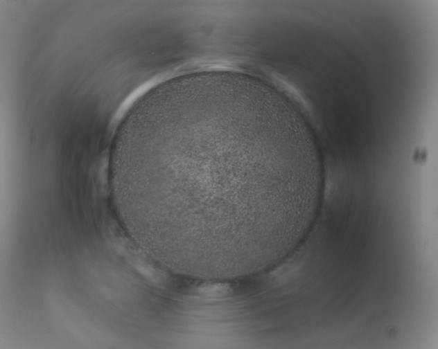 X0000113241174200909171555