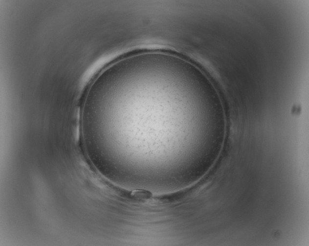 X0000113241175200909171555