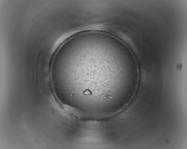 X0000113241176200909171555