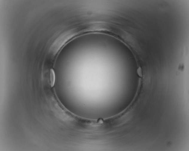 X0000113241177200909171555