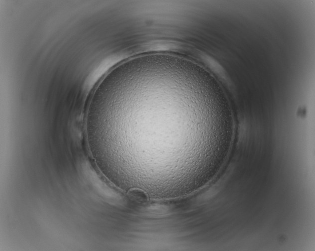 X0000113241178200909171555