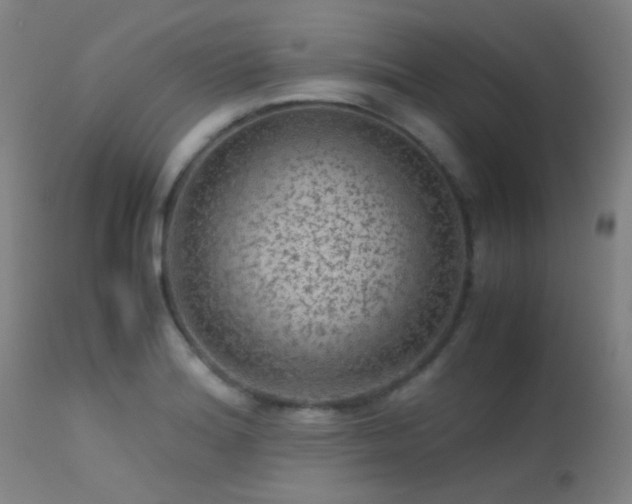 X0000113241180200909171555